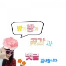 해남알배기배추당첨후기(미영씨농원)