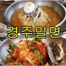 사당역 밀면 맛집/오리구이와 경주밀면