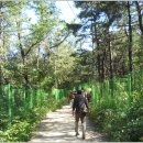 불암산악회 이미지