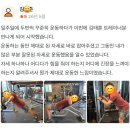 부천역PT 한조바디짐 피지오 김선생의 "건강한 운동, 건강관리클래스" 김x준 회원님 운동일지