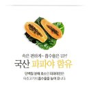 타조의방