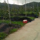 수관농장 이미지