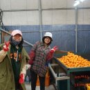 소용농장 이미지