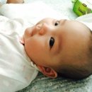 유라엘 이미지