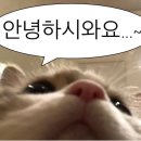 예림슈퍼마켓 | 추억결산