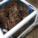 죽변수협회센타 이미지