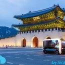 로컬 모터스 이미지