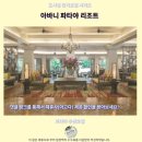 파타야 아바니 리조트 후기 인생 숙소 추천