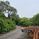 동광리-5 이미지