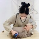 재이미