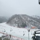 득이식당 | 홍천 비발디파크 렌탈샵 뽀드득에찌 비발디파크스키장 후기