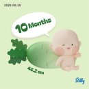 [임신 36주 일기] 하루가 멀다하고 역류성식도염으로 고생하지만 교수님이 인정한 파워 건강 만삭...