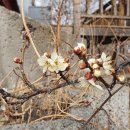 경산행운공인중개사사무소 이미지