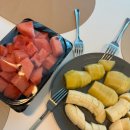 푸룻한세상