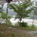 흐르는 강물을 바라 이미지