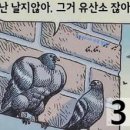 얼리버드