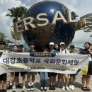 대강초등학교 이미지