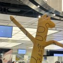 삼덕공원_동 | 대구여행 1박2일 경비와 일정공유 part.2 (실패없는 루트. 맛집, 소품샵, 카페, 볼거리••❣️)