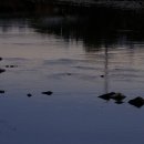 가창면사무소 이미지