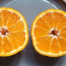 민우네농원 이미지