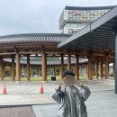 백제비료(주) 부여지점 | 핑크뮬리가 예뻤던 부여 롯데리조트 가을 10월 숙박 / 키즈프로그램 과자집 만들기 후기