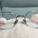 이리스안경원 이미지