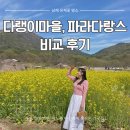 랑스 | 남해 유채꽃명소 다랭이마을, 파라다랑스 장단점 비교 후기
