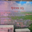 양꼬치 칭따오 이미지