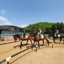 퀸즈승마장 이미지