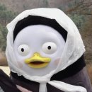 하뚜랑 녜~ 이미지
