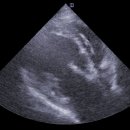 모리동물병원 이미지