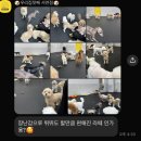부산진유치원 | 부산 애견유치원 추천 / 부산 애견호텔 추천 / 우리집첫째 서면점 강아지 유치원 후기