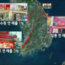 속초시장닭집 네이버블로그
