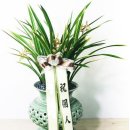 조치원_중앙요양병원 이미지