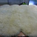 금호세탁 이미지