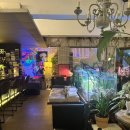 가호동20 이미지