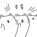 주문진항#20