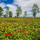 산수화농장 이미지