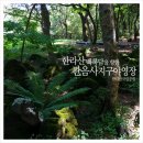한라산국립공원관음사지구야영장 네이버블로그