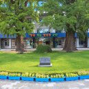 군민회관 대강당 이미지