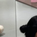 체형교정 발레 이미지