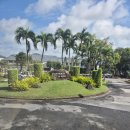 도그의 품격 | 푸켓 명문 골프장 아시아 베스트코스 블루캐년cc 라운딩 후기(ft.캐년코스)