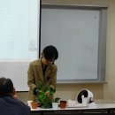 플랜팅아트