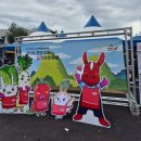 진안읍 1166 | 진안 김장축제 김장후기 가격정보 예약방법