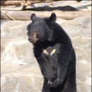 송산헬스 이미지