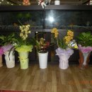 낙양주유소 이미지