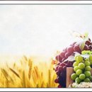 금령로90번길 이미지