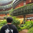 럭키켄넬 이미지