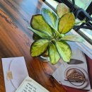 남부순환로323길 44-3 이미지