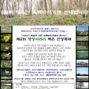 회동2리청옥산깨비마을